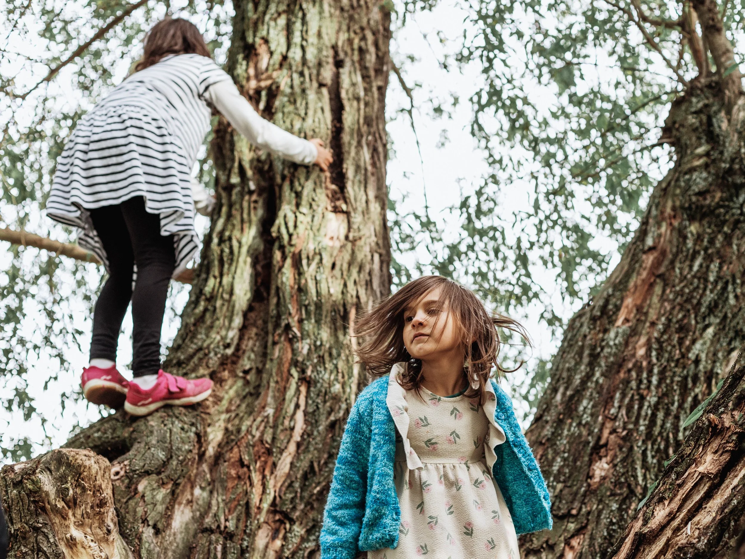 KuK_The_Trees_in_Us©Katarzyna_Lukasiewicz_12.10-60.jpg