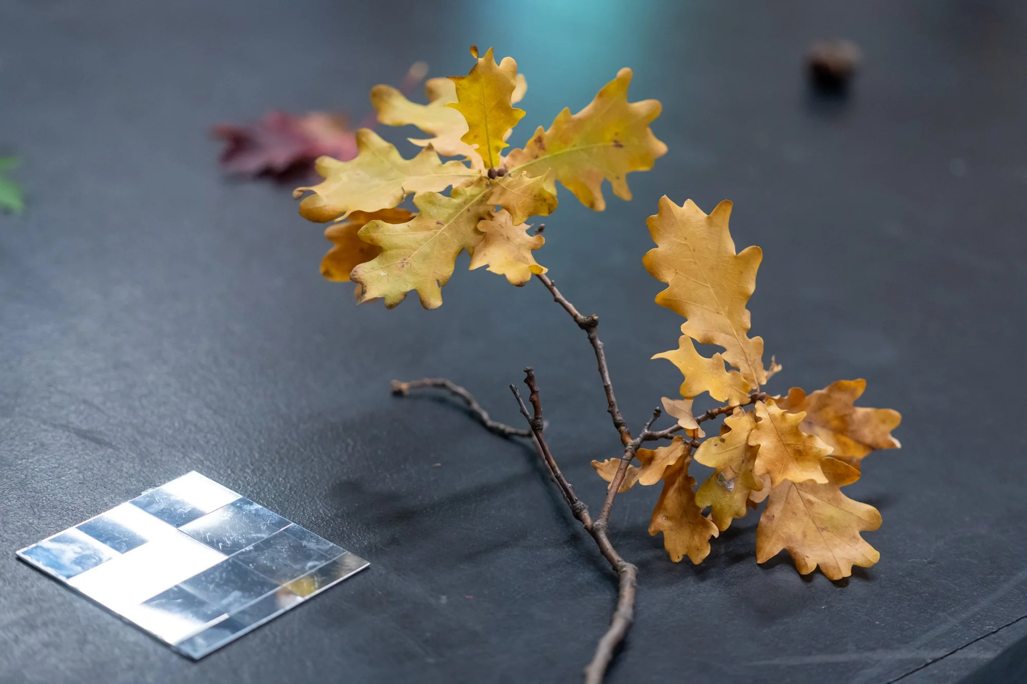 092 - _DB10962 - WEB Res.jpg