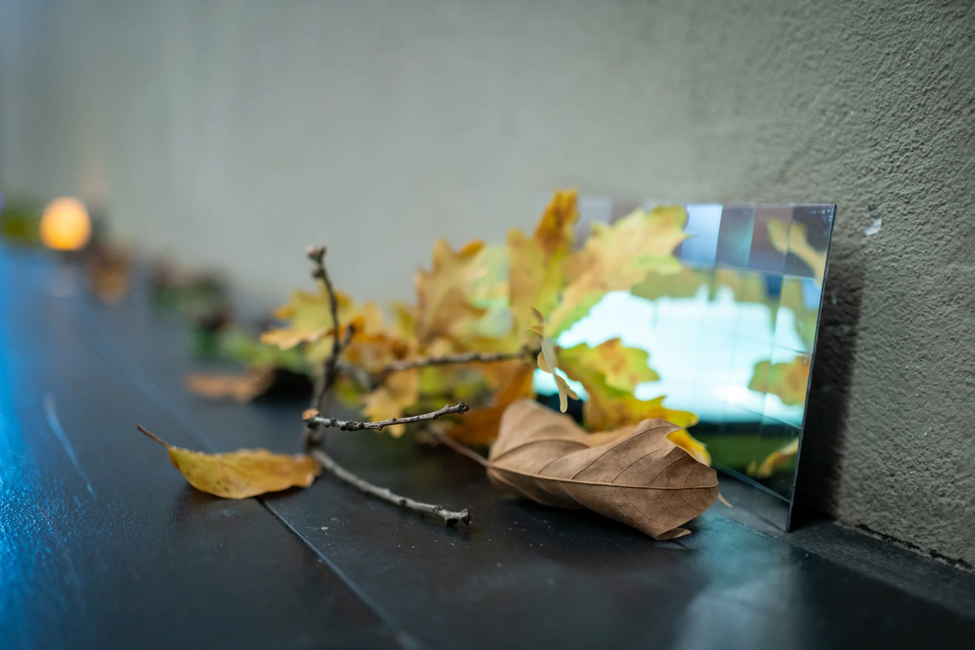 001 - _DB29788 - WEB Res.jpg