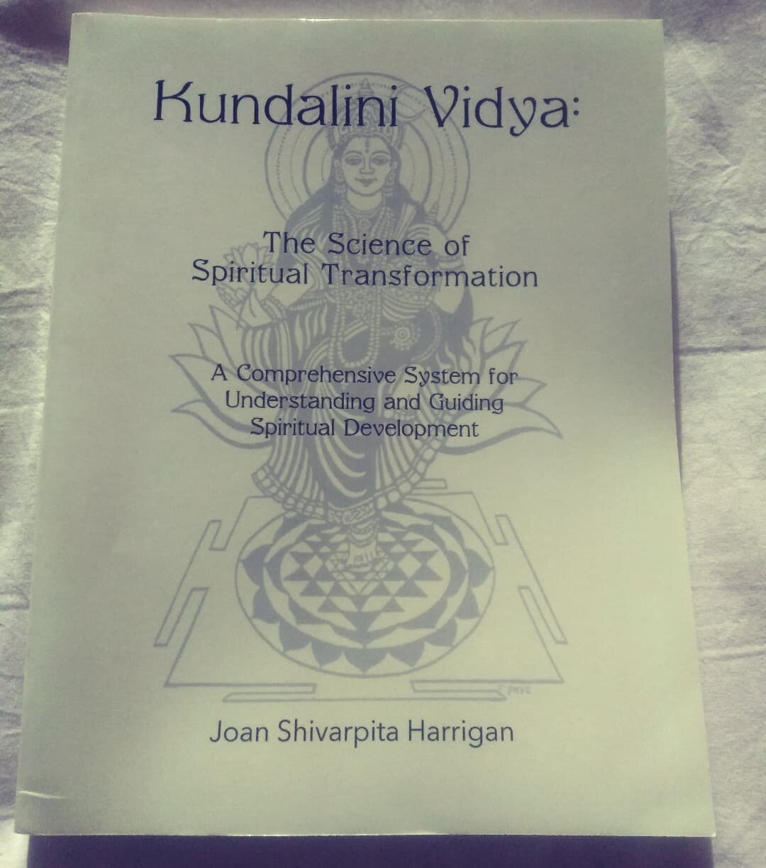 Doing some intense training this weekend with #fielddynamics focussed on #spiritualanatomy. I am referred back to the work of #joanshivarpitaharrigan

#energyhealing #spiritualdevelopment #awakening #kundalini