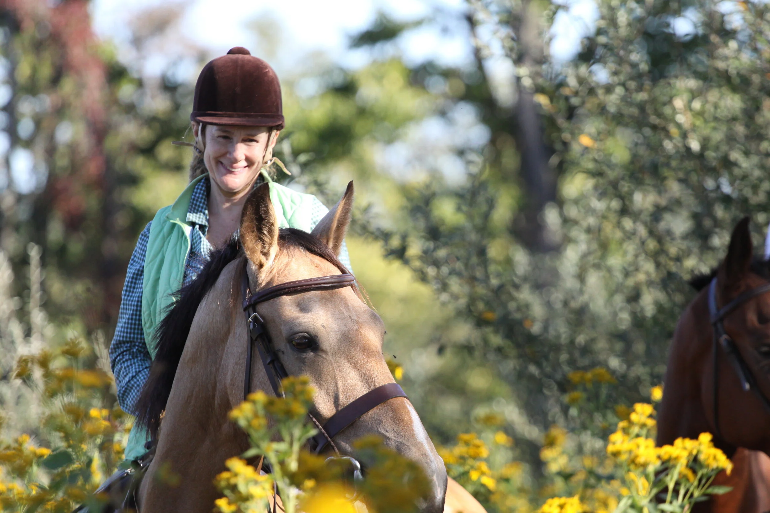 Glendale's Dun Quixote