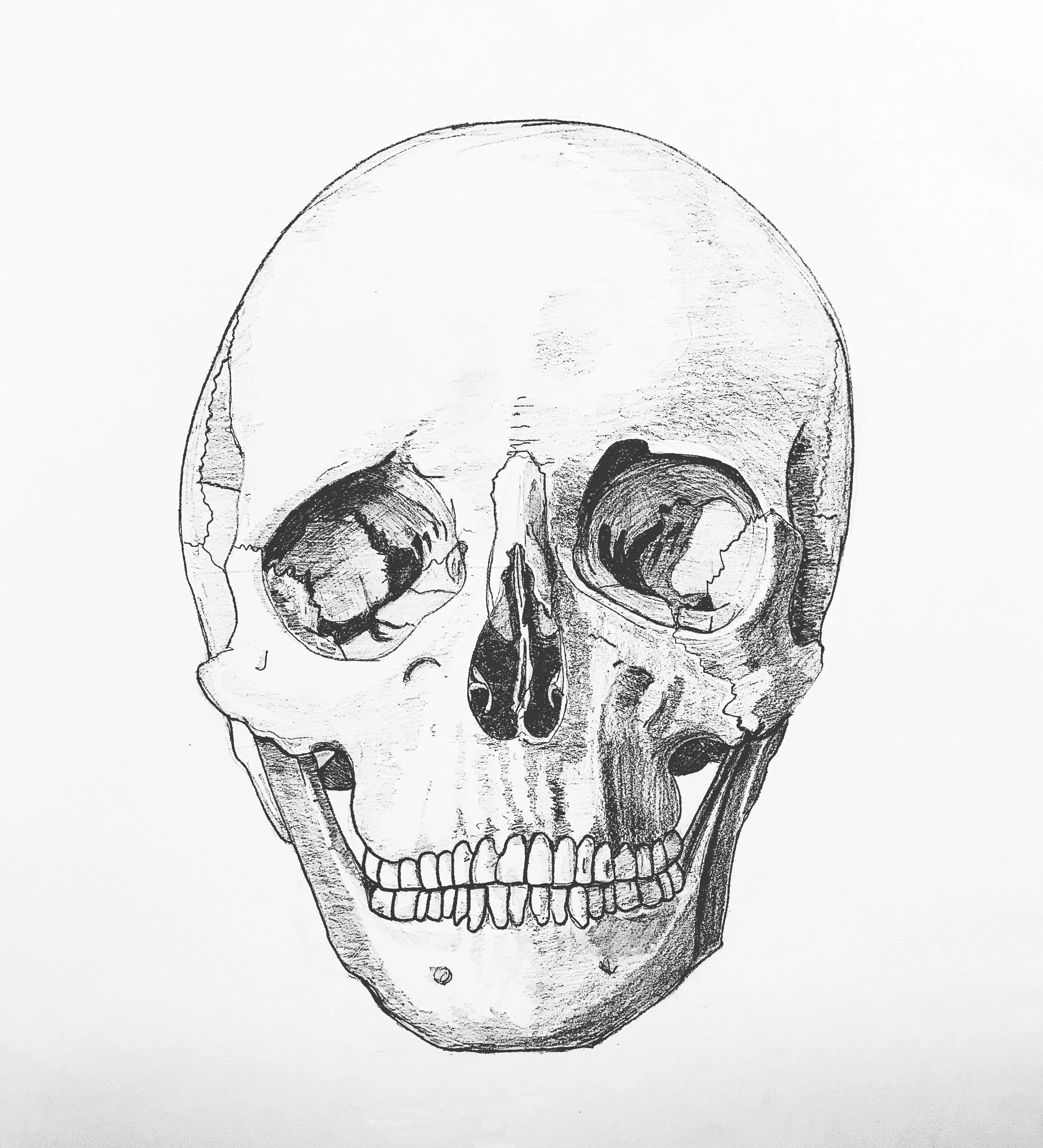 Pencil drawing of a scull and teeth