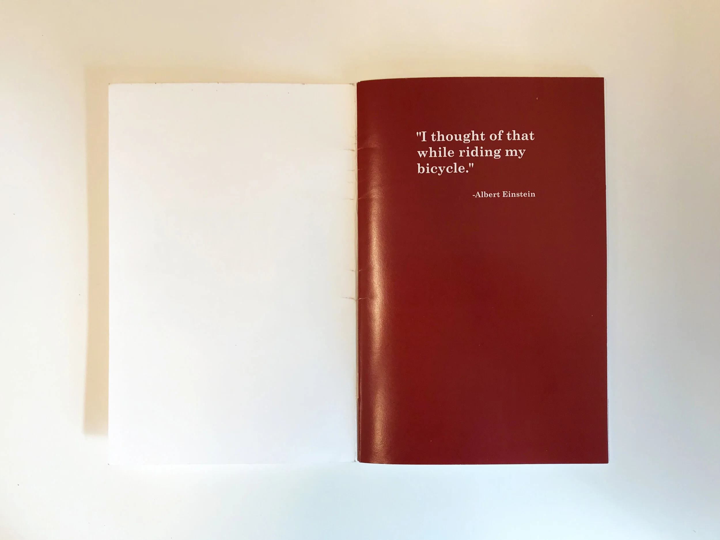 "I thought of that while riding my bike." -Albert Einstein