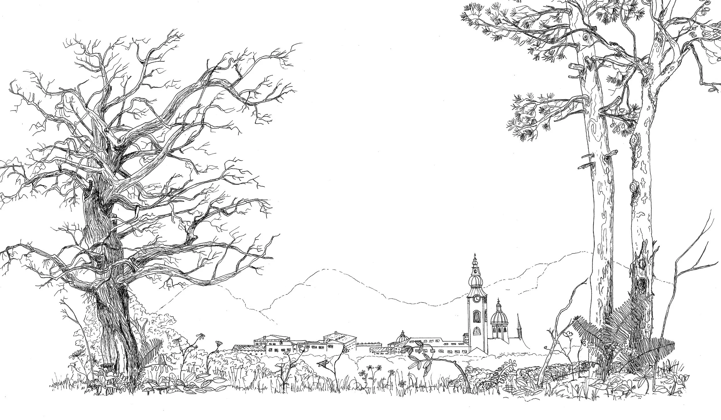 Landscape Sketch of trees, mountains, and town