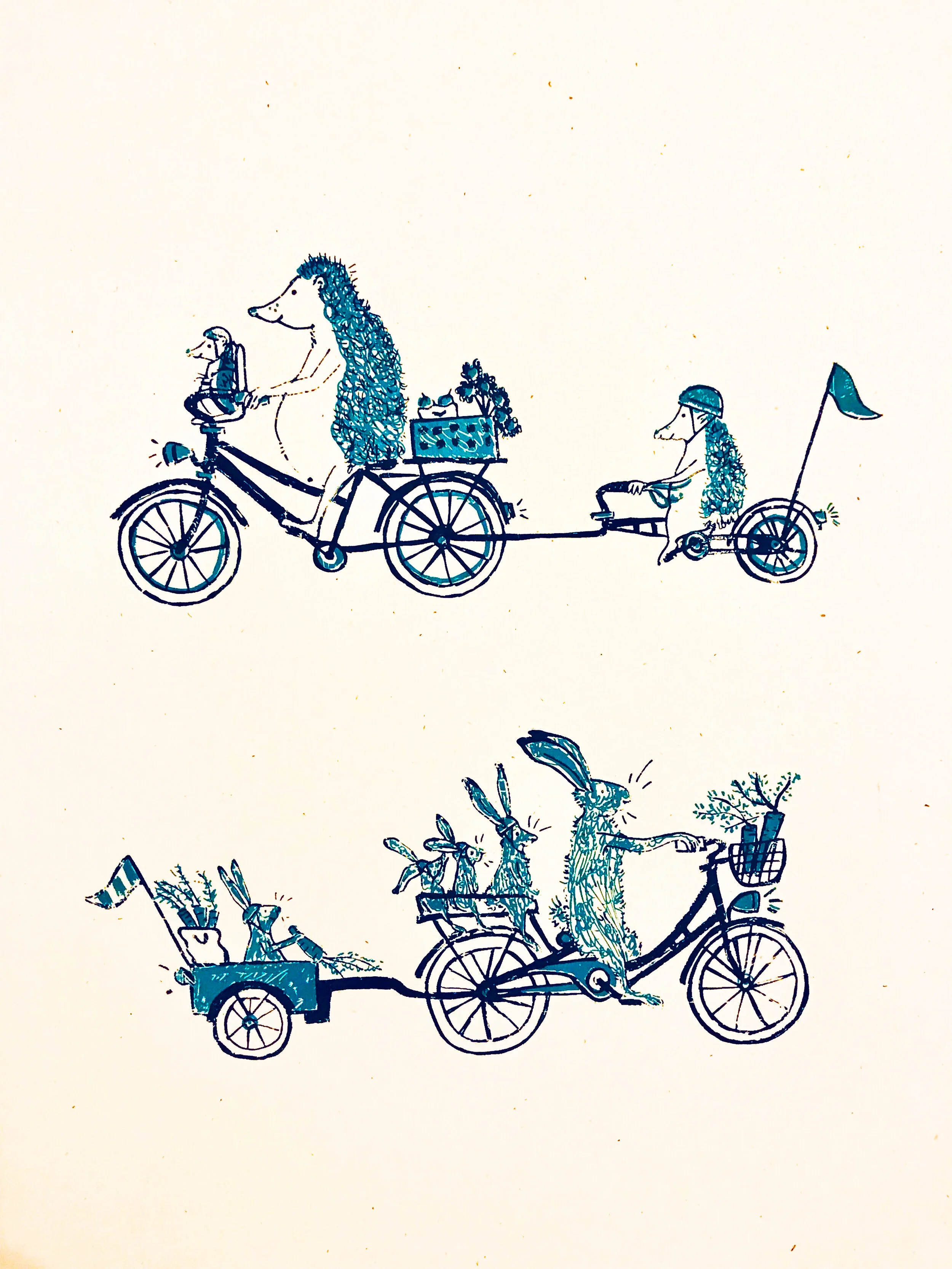 Blue Bike Close Up.jpg