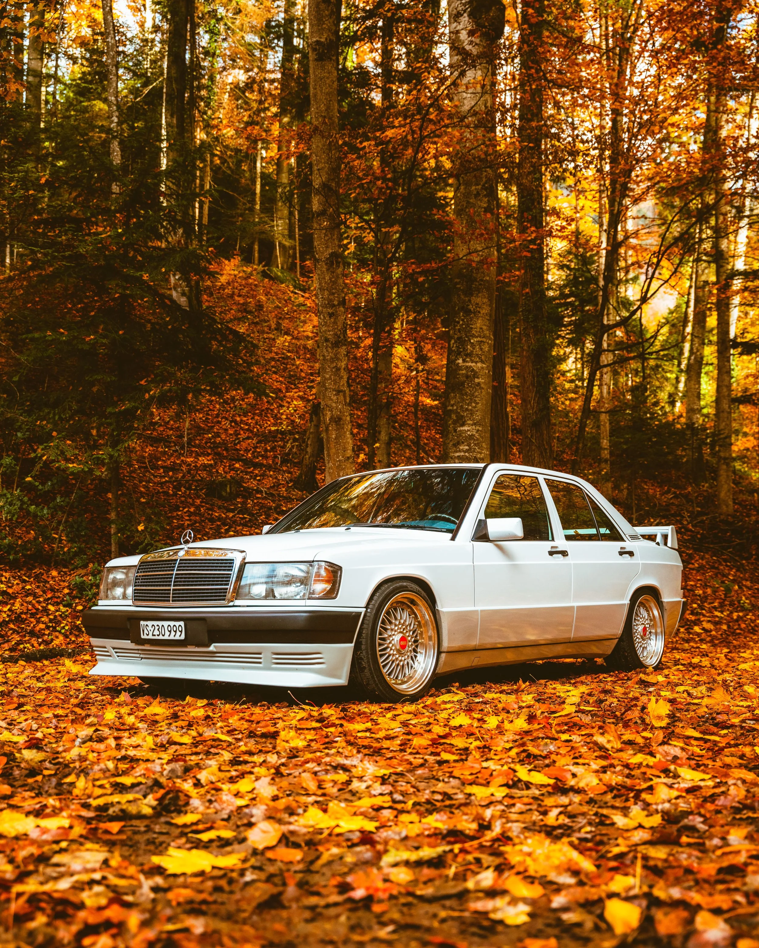 2022_11_19-Mercedes_190E-22.jpg