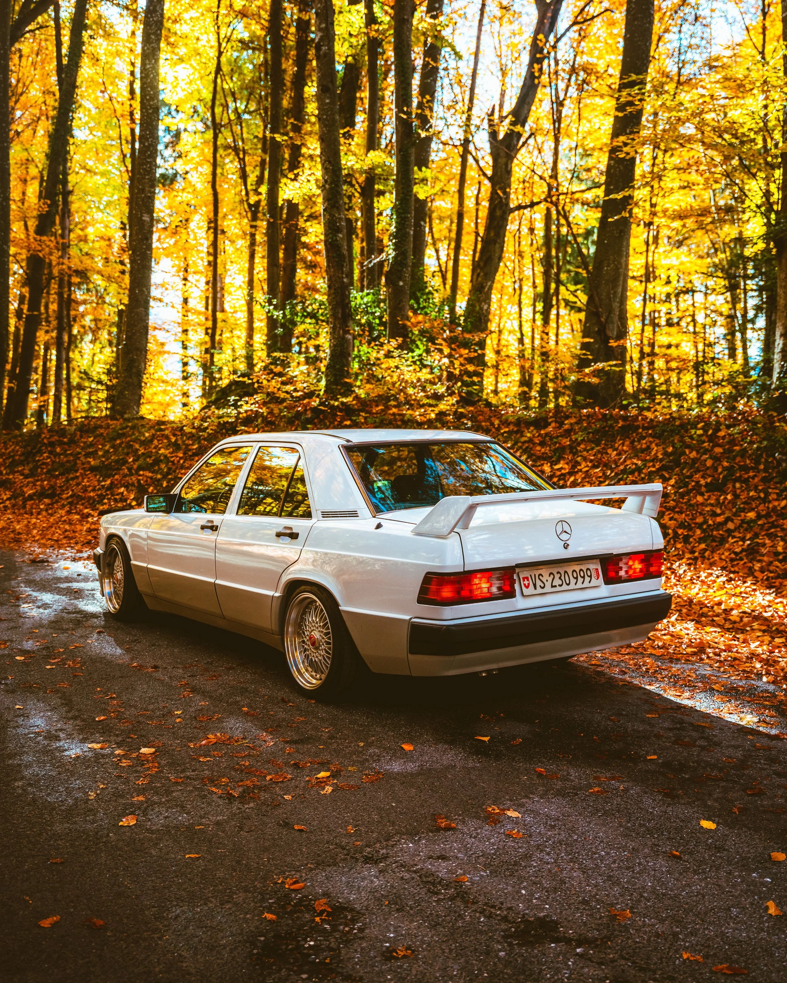 2022_11_19-Mercedes_190E-16.jpg