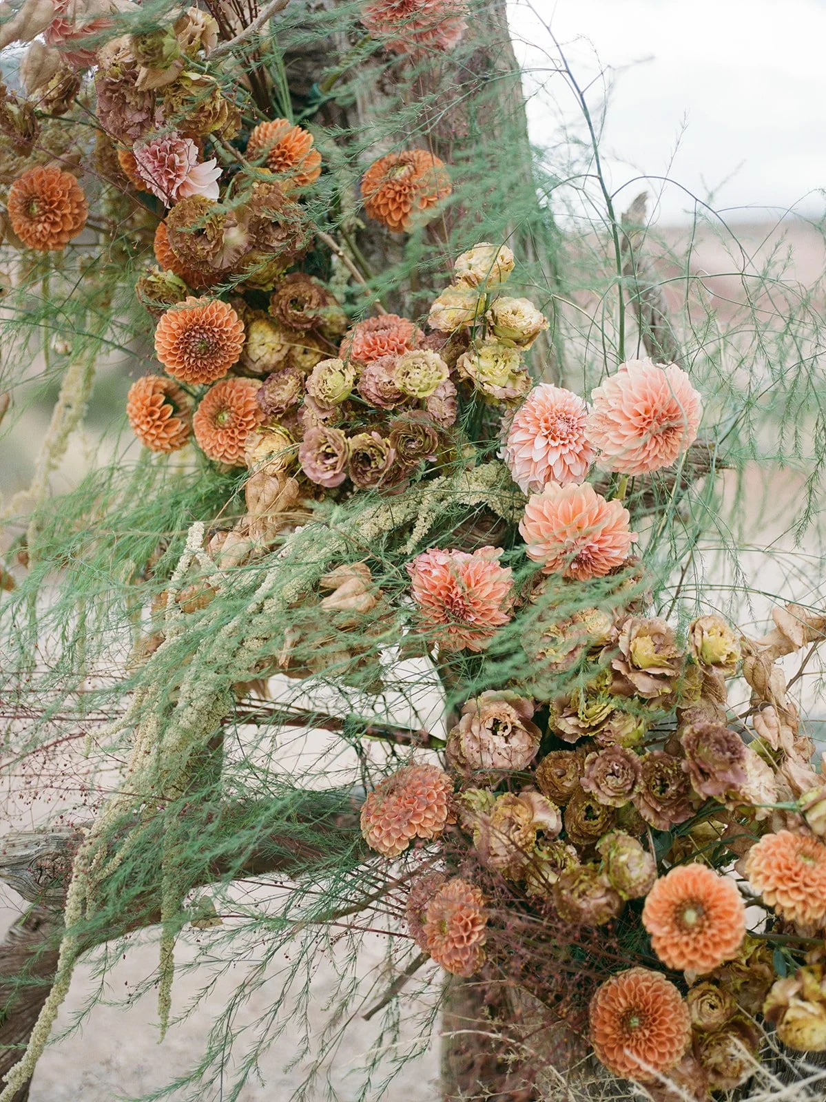 Farm Yard - Moab Utah - Dried flowers and plants in shades of orange, peach, and green arranged on a branch.