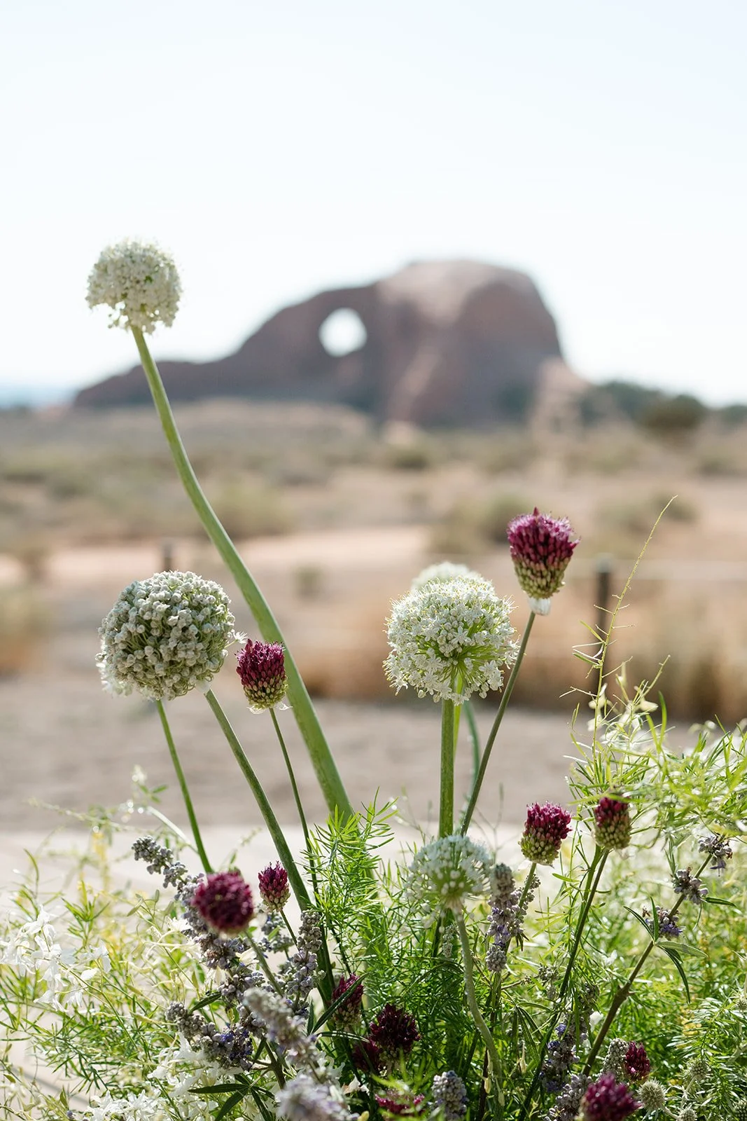 jeff callie ulum moab wedding ceremony-24.jpg