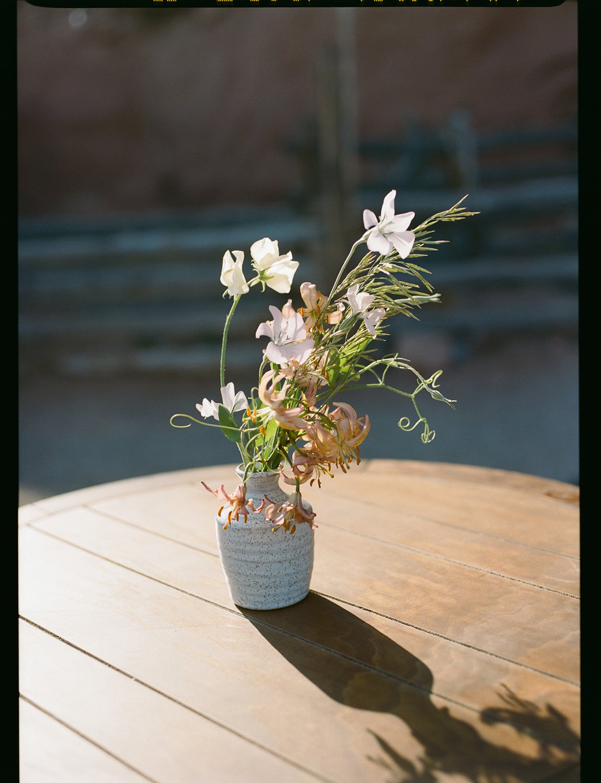 jeff callie ulum moab wedding cocktails-58.jpg