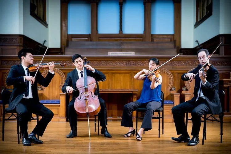 Telegraph Quartet performs 'Pizzicato'