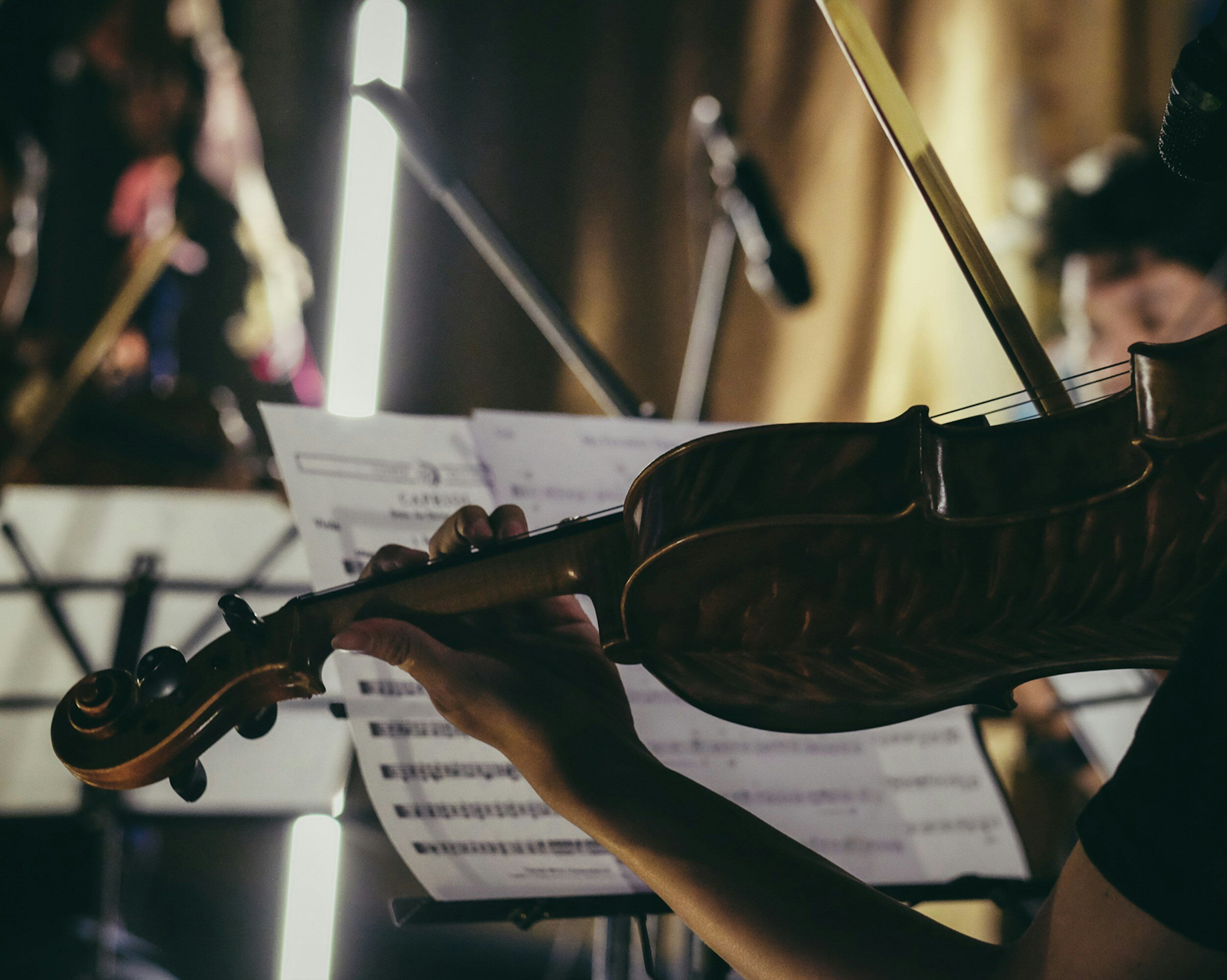 Henry M. Gunn Chamber Orchestra performs 'Pizzicato'