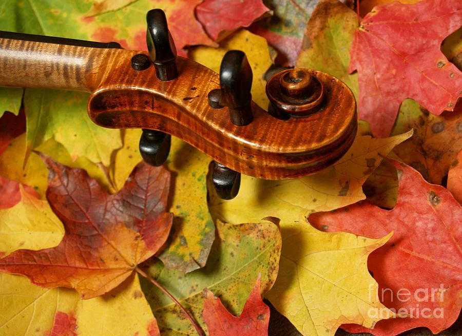 Darrian Lee performs 'Birdsong'