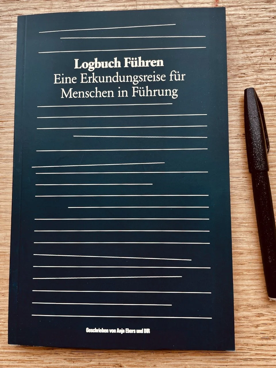 Logbuch Führen - Eine Erkundungsreise für Menschen in Führung