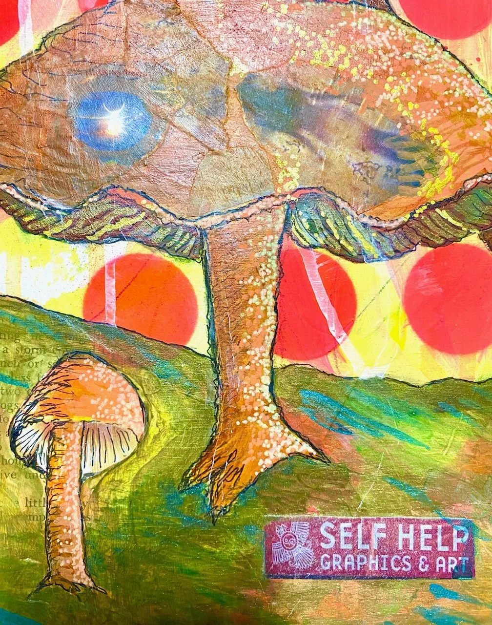 Close up Shroom What a trip.jpg