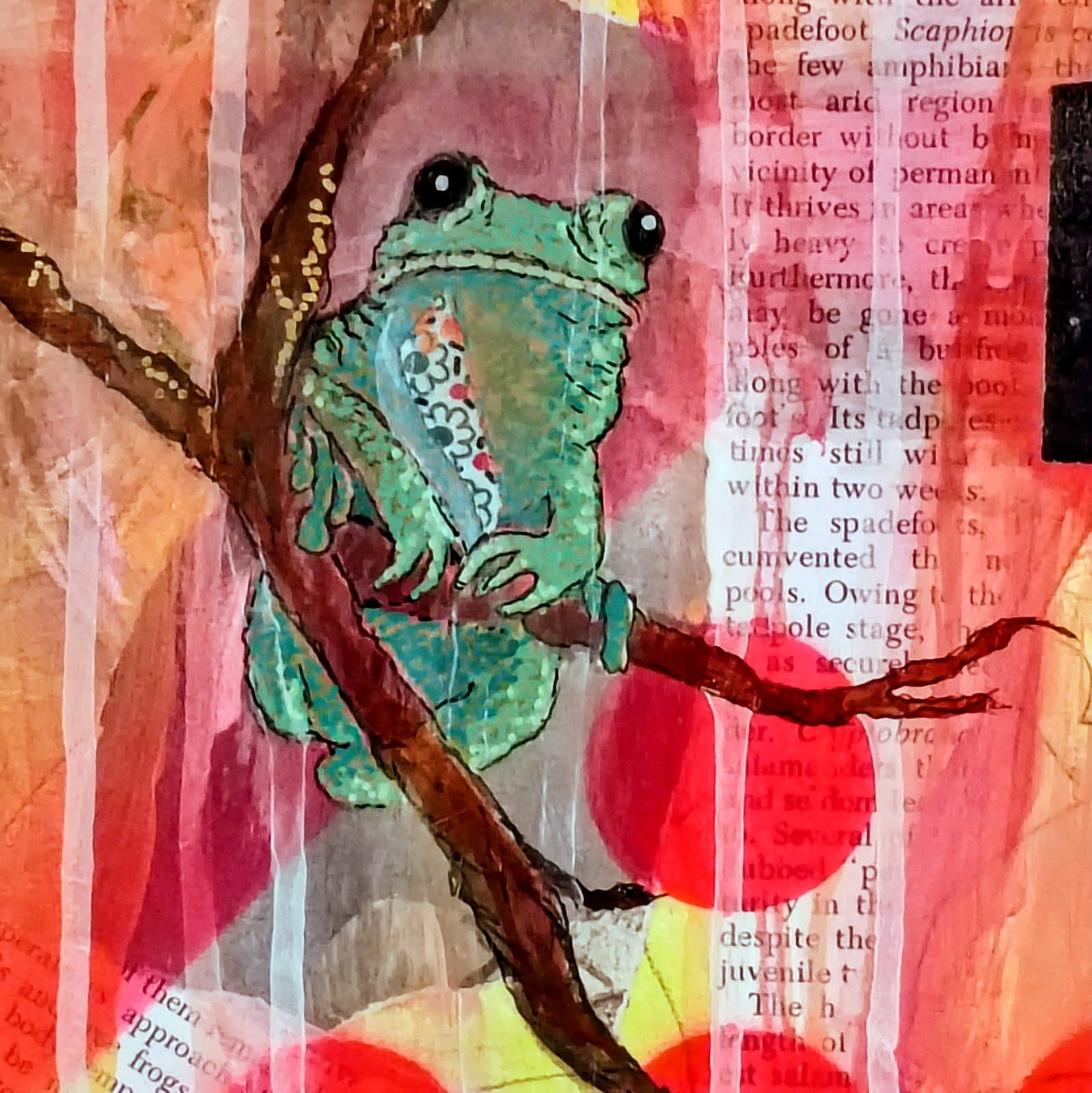 Close up frog What A Trip.jpg