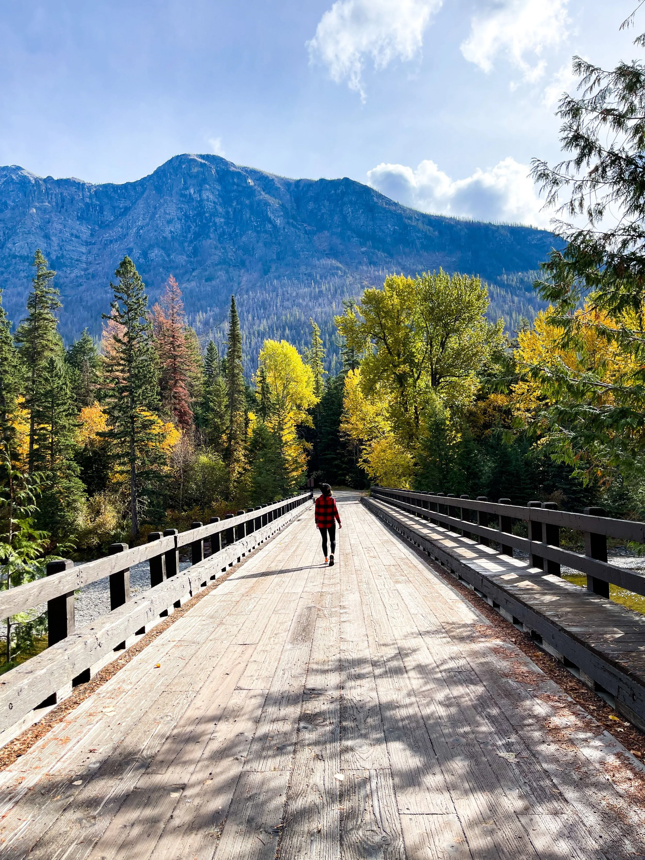 Following Fall to Montana