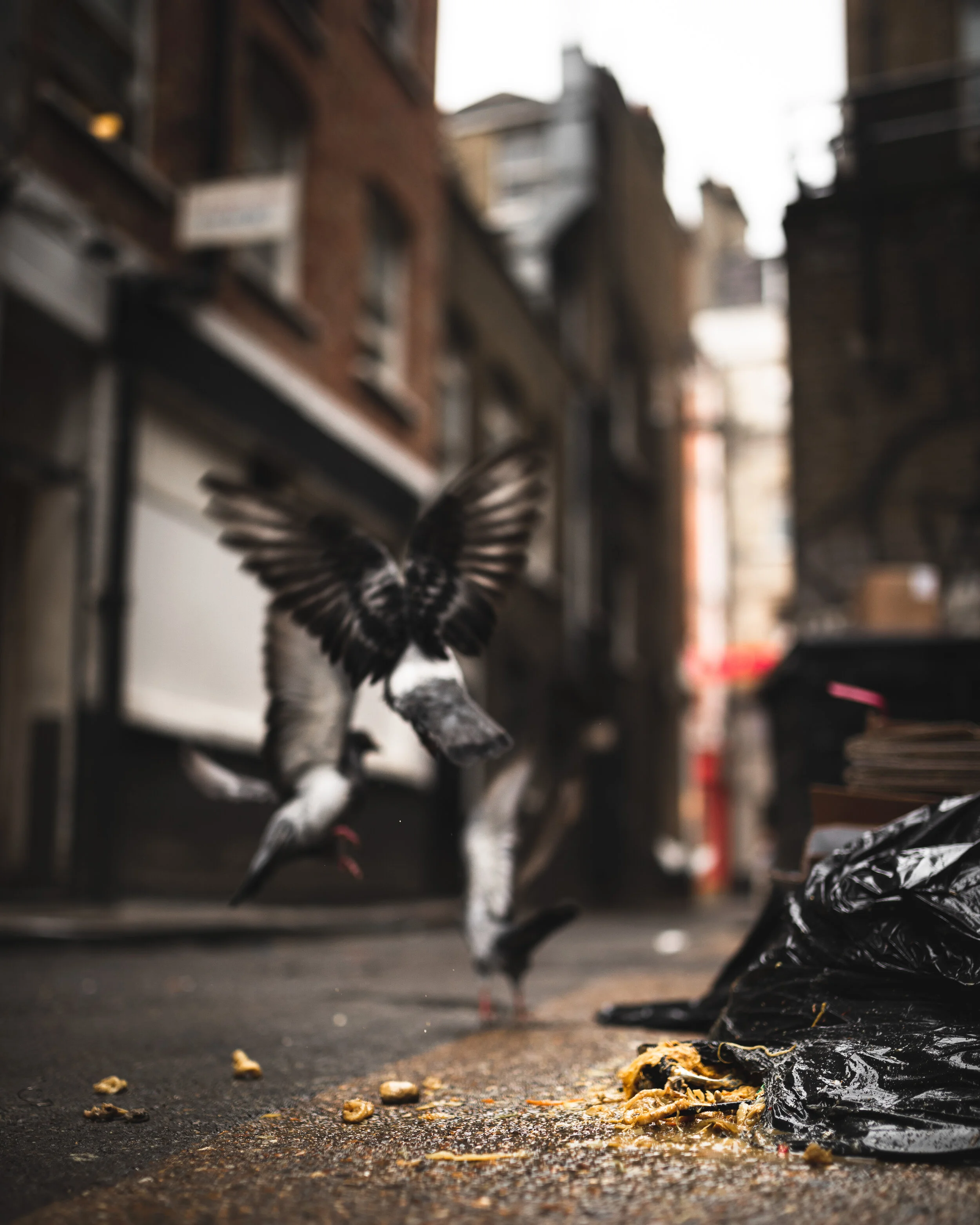 urbstreet-48.jpg