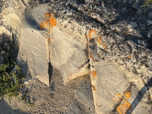 St. Victor's Petroglyphs. 
