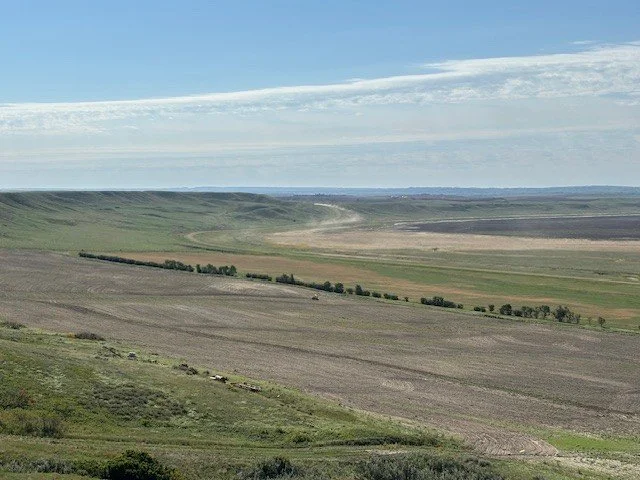 View near Willow Bunch. 