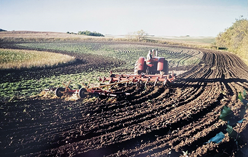 A man on a tractor cultivating a field.