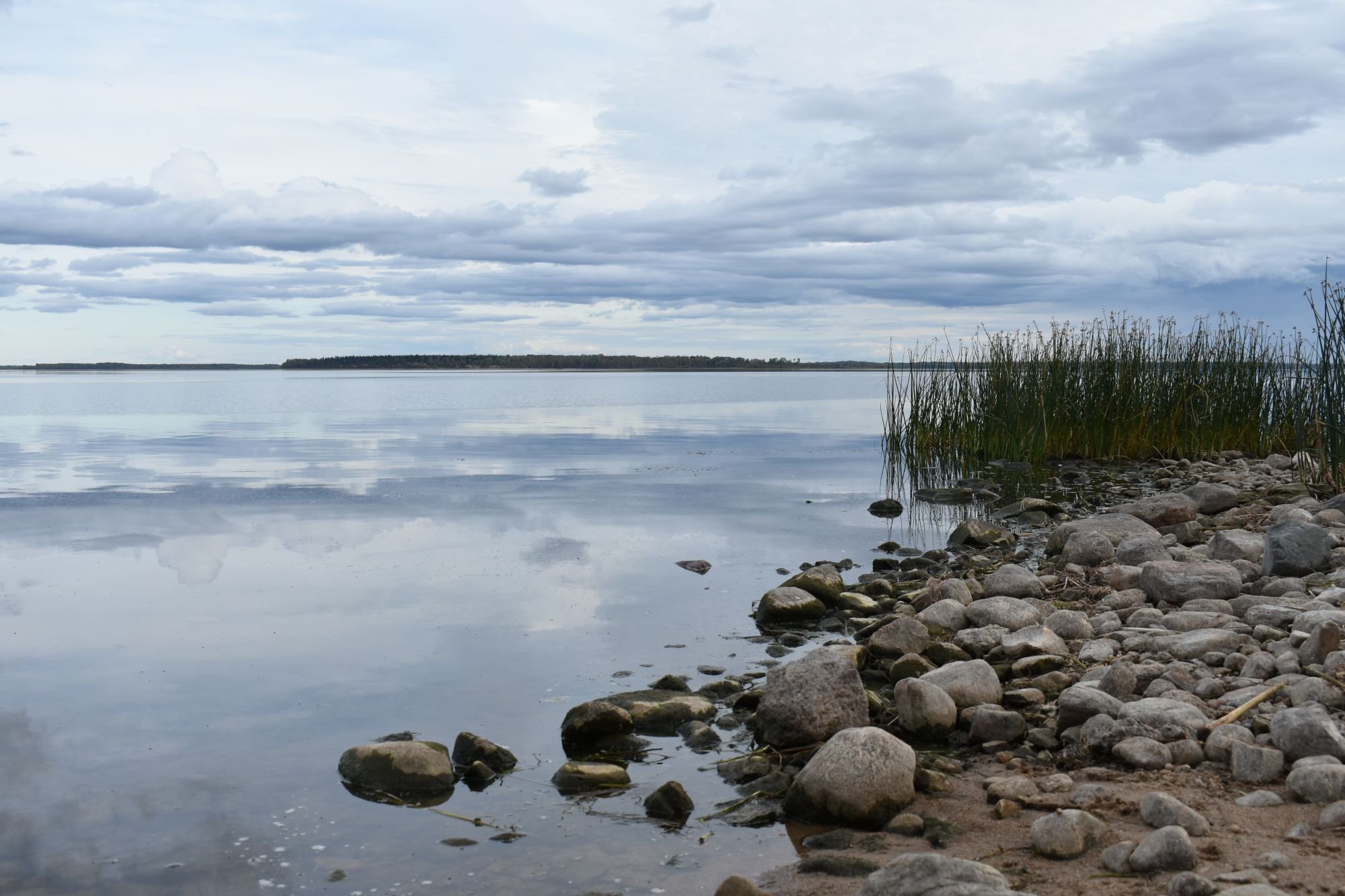 Rocks and reeds decorate the edge of a calm blue lake below a cloudy sky.