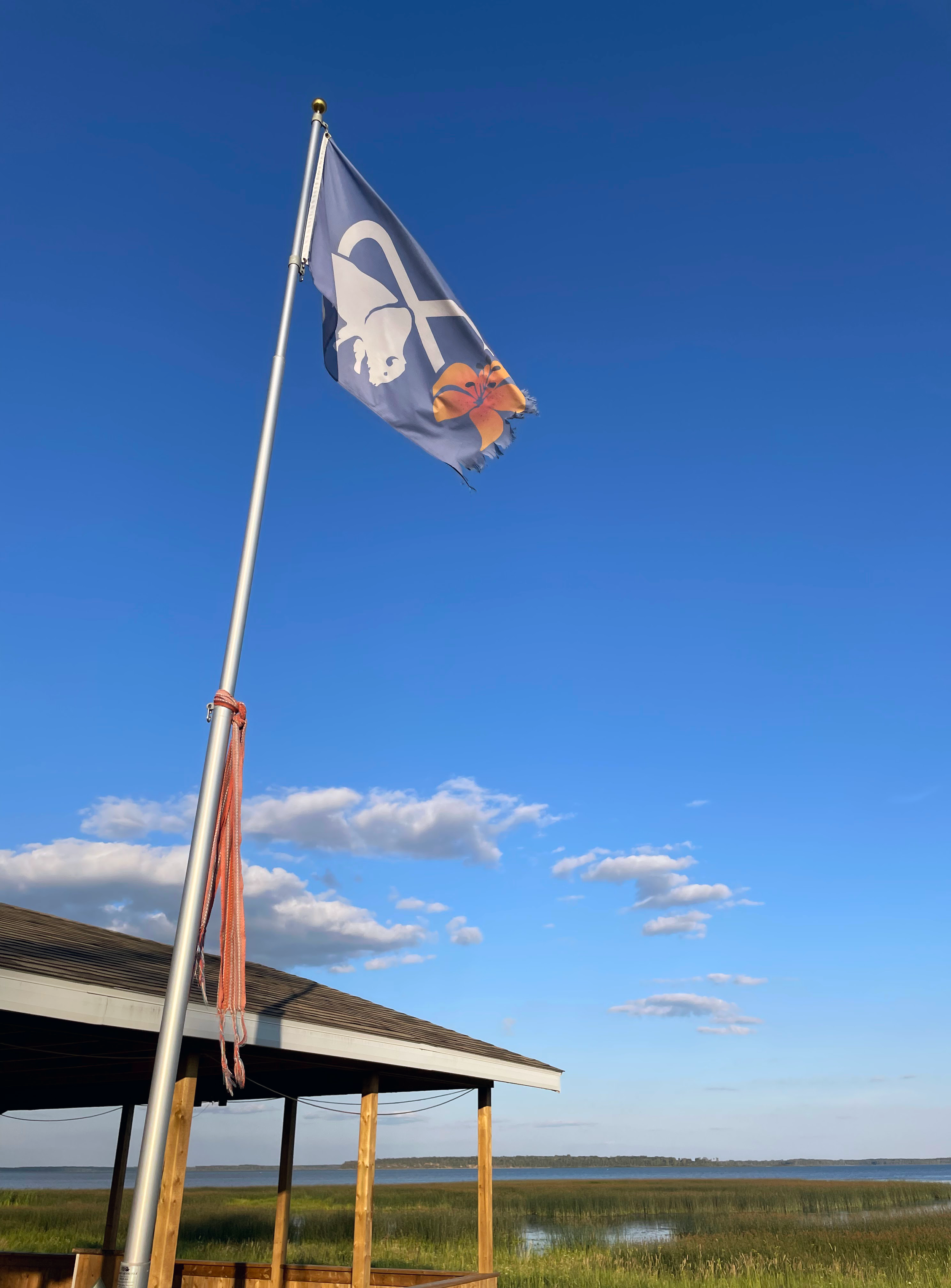 A Metis flag flies over a blue sky and a wetland. It is attached to a pole next to an open wooden picnic shelter..