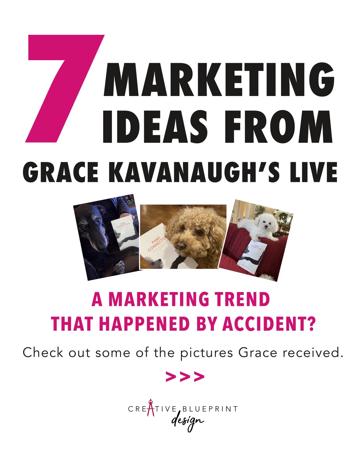 7 Marketing ideas from Grace Kavanaugh&rsquo;s Instagram Live 🐾📚

Grace @grace_in_flow wrote an amazing book filled with heartfelt poetry. Never did she expect to create a trend when her book Paws Connection published in November 2025.

Scroll thro