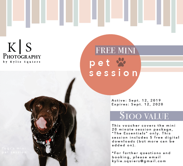 Mini Pet Session KS Photog.png