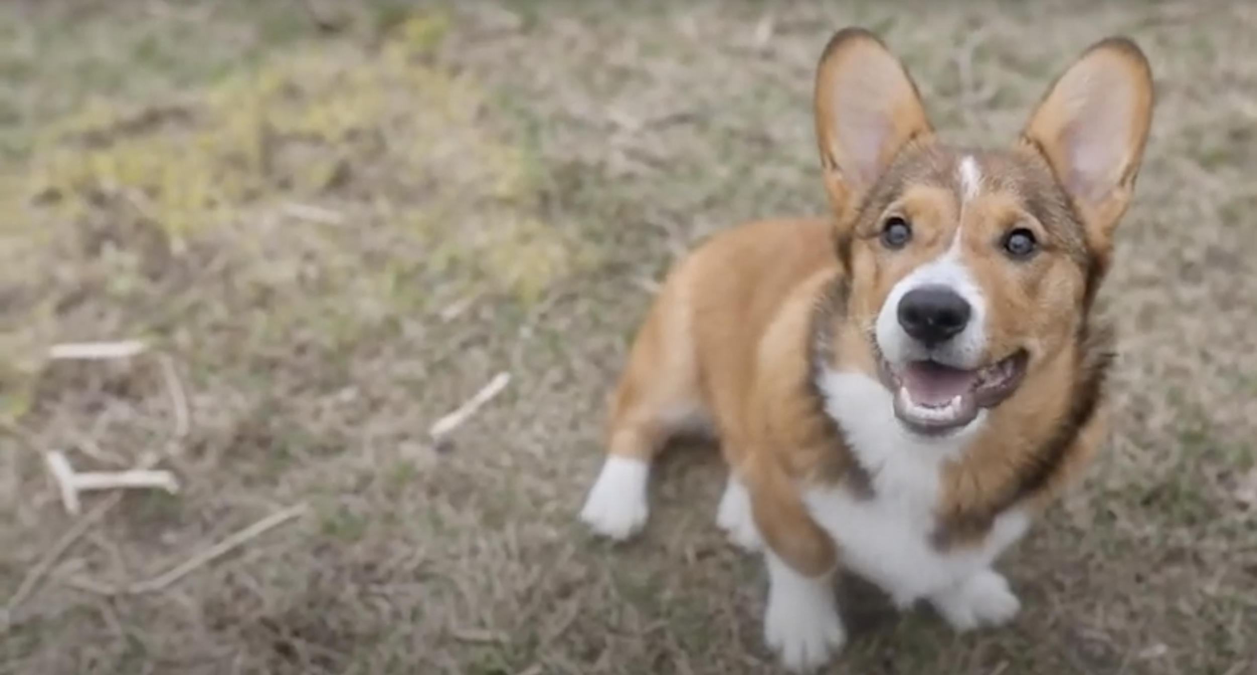 Screen Shot 2020-10-05 at 12.40.58 AM.png