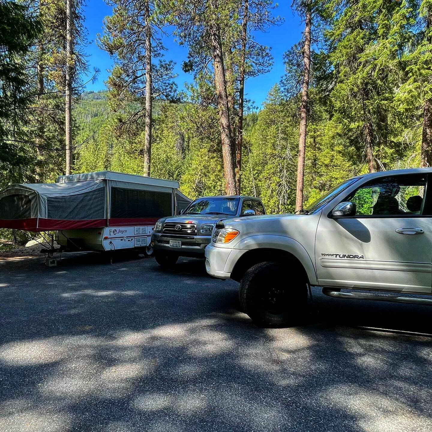 Yotas, Camper, &amp; Tress