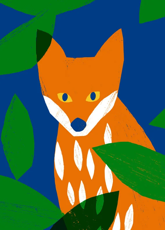 Fox.jpg