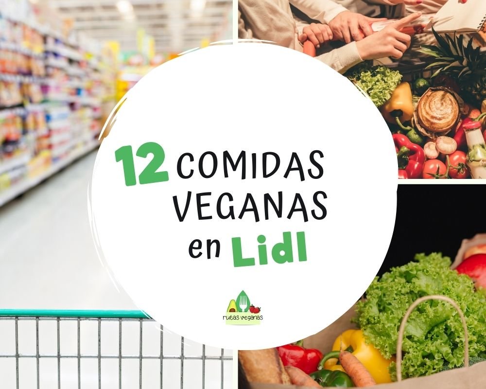 Mezclado Referéndum Discurso 12 Productos de LIDL aptos para veganos (buenos y baratos) — Rutas Veganas