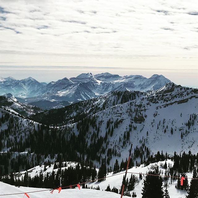 Beautiful day to be up snowboarding.  Plank and cable wood chop are good moves to get you ready for the mountain. #shred #utahoutdoors #snowbird #snowbirdresort  #drive #driven #drivetribe #driveperformance