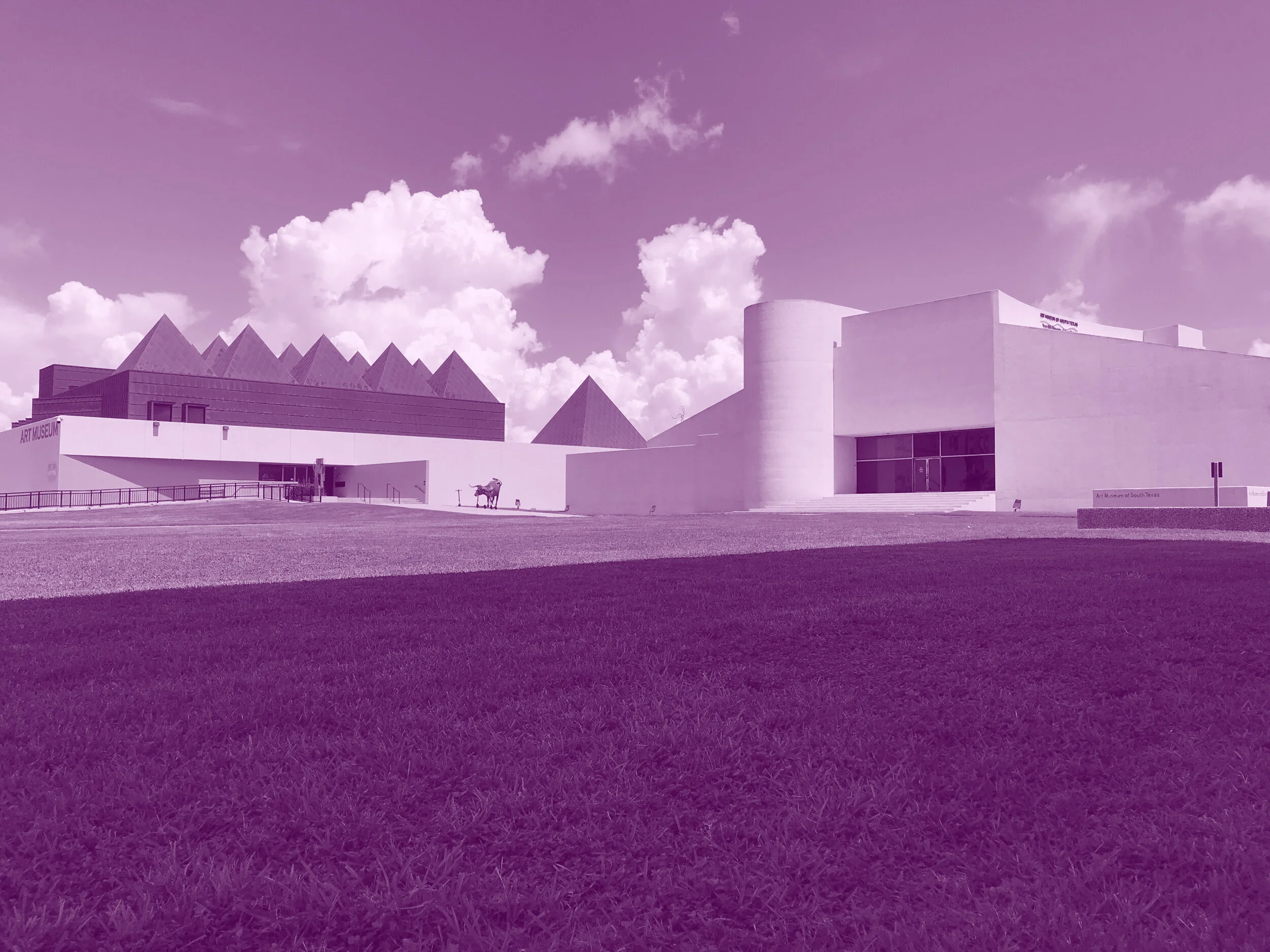 purple AMST.jpg