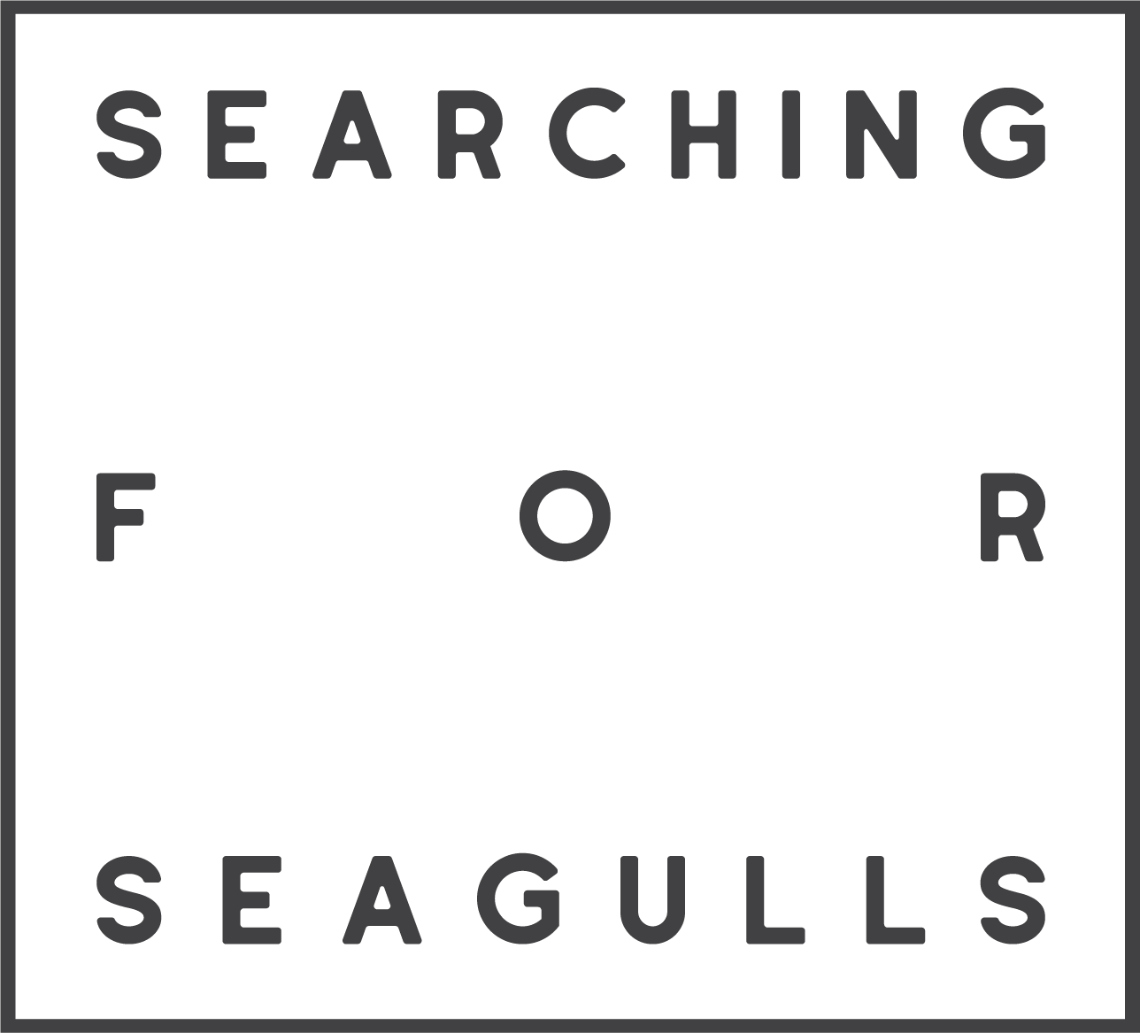 Searching For Seagulls