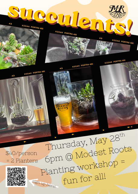 Succulent Planting with Dalton