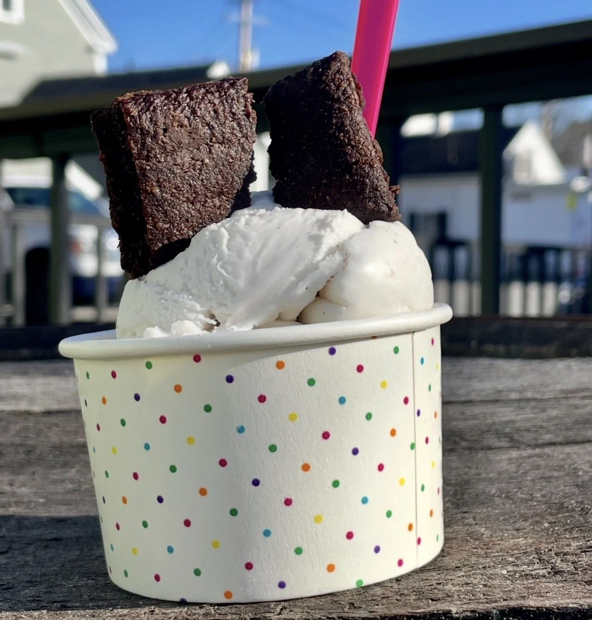 ZAO Non-Dairy Gelato Food Truck
