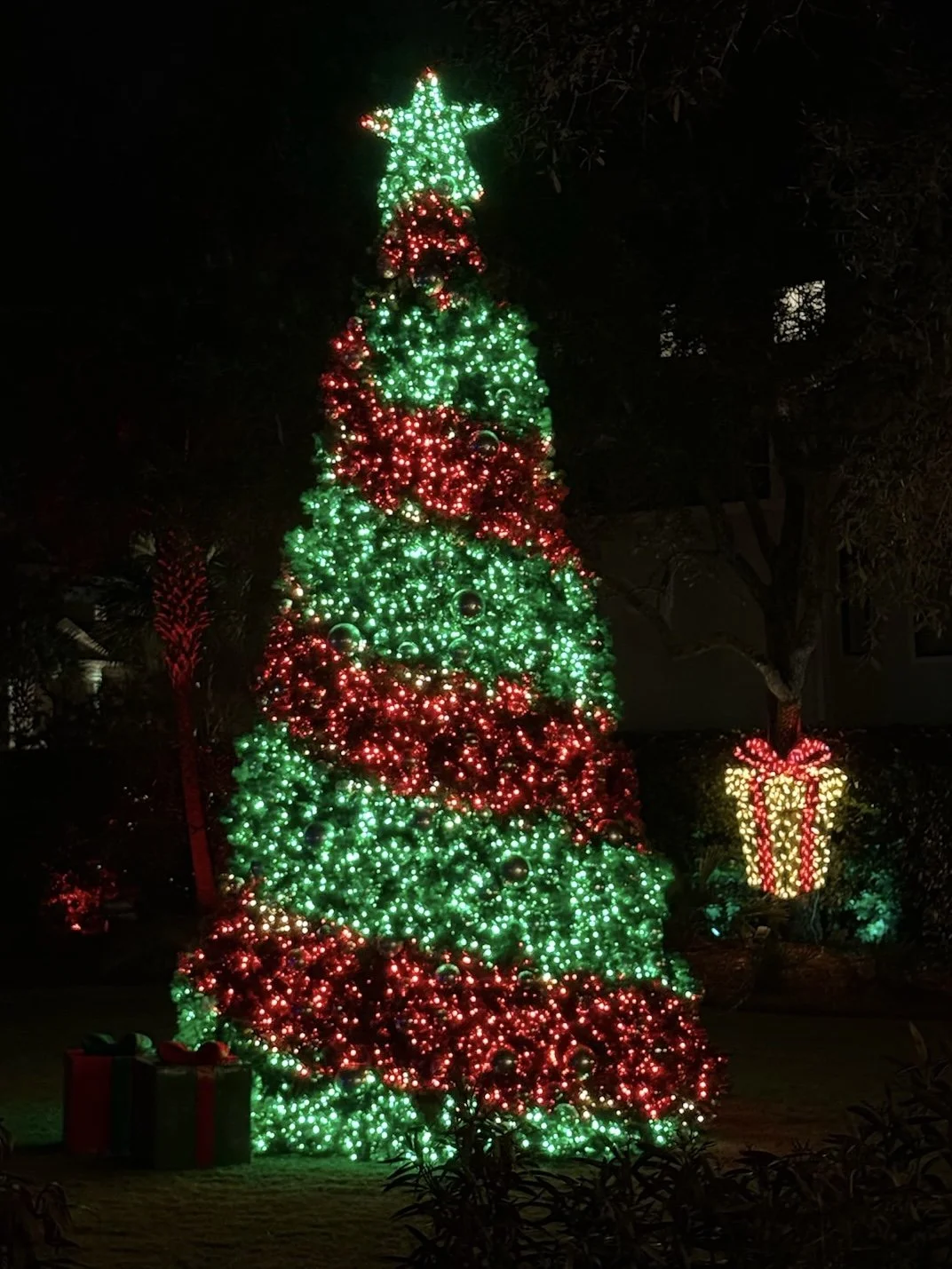 Holiday Lights and Christmas Memories That Mark the Season