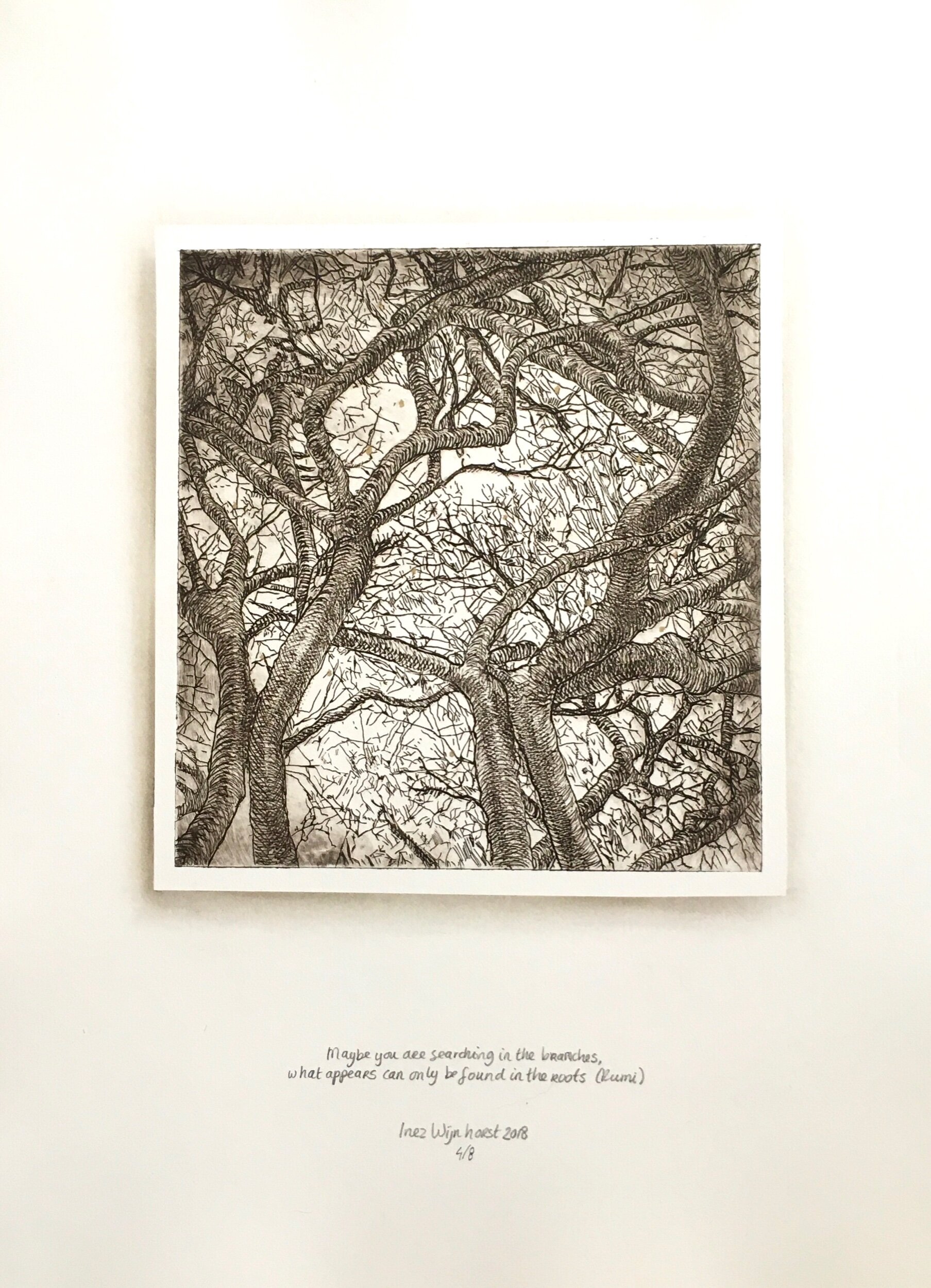 Maybe you are looking in the branches, what appears can only be found in the roots (Rumi)