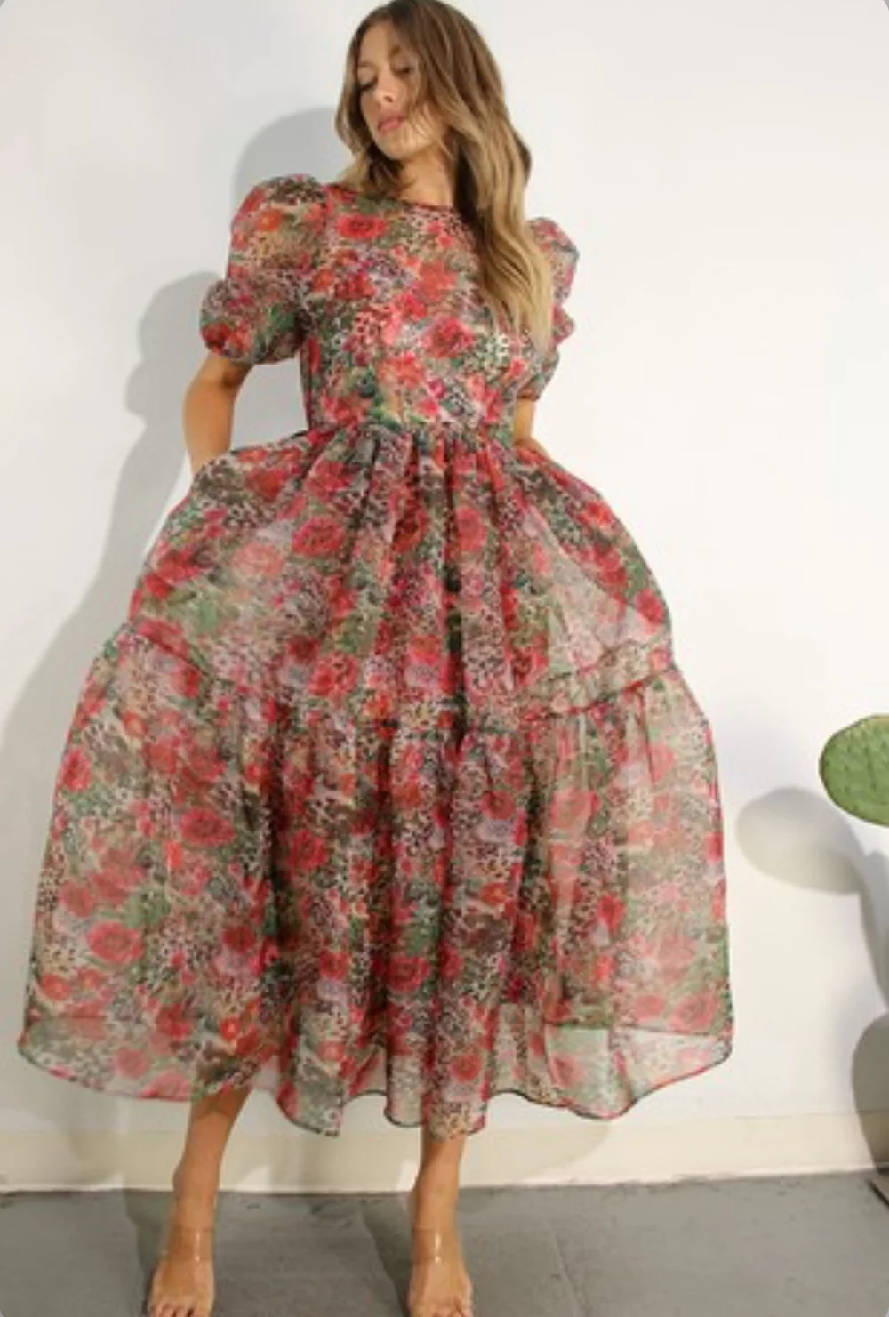 Wild Rose Sheer Maxi Dress — Cutina Miller
