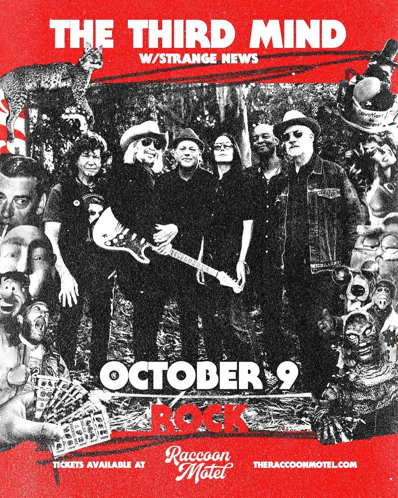 Friends in the #QuadCities area! We will be playing @raccoonmotel in Davenport with @strangenewsband ! Early show &mdash;- see you soon!! 

Tix at theraccoonmotel.com + our site ✨🎟️🎟️

&ldquo;...onstage is where its spontaneous mastery goes off the