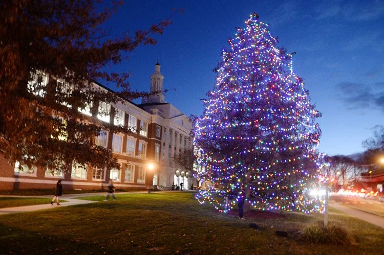 Town of Greenwich Annual Tree Lighting