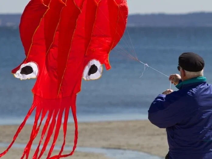 2026 Annual Kite Festival