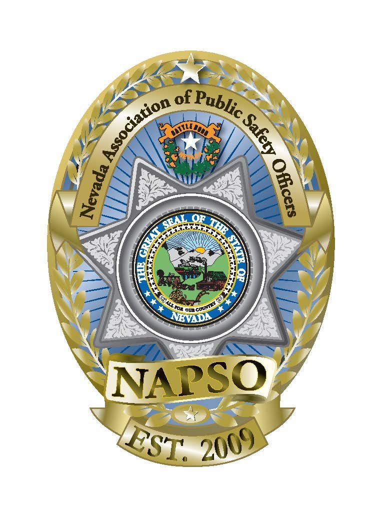 Logo - NAPSO.Est 2009.jpg