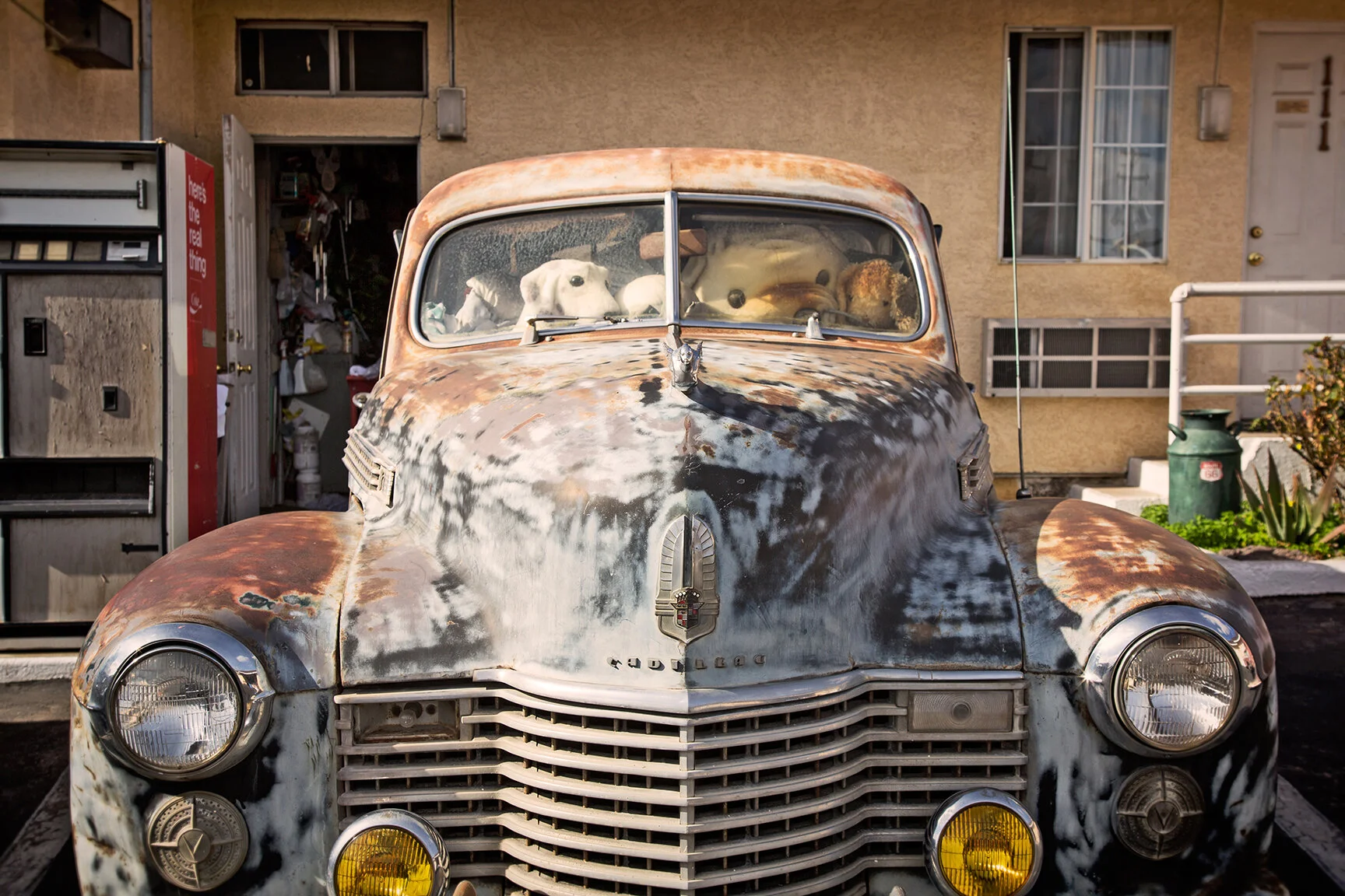 Plushes in Car - Barstow, CA