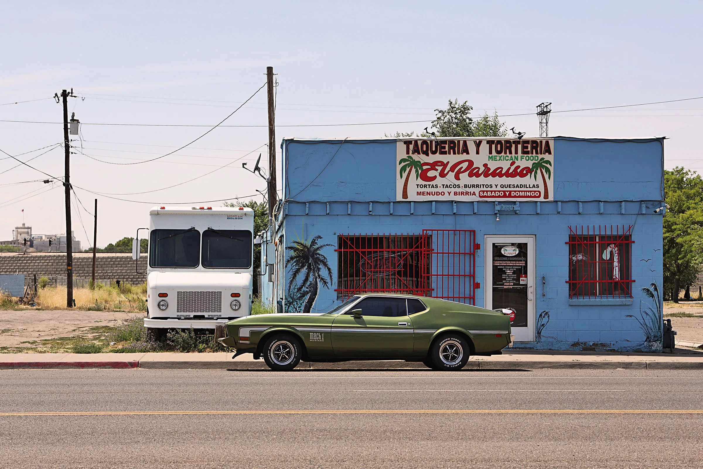 Boss Mustang, Ogden, UT 2025