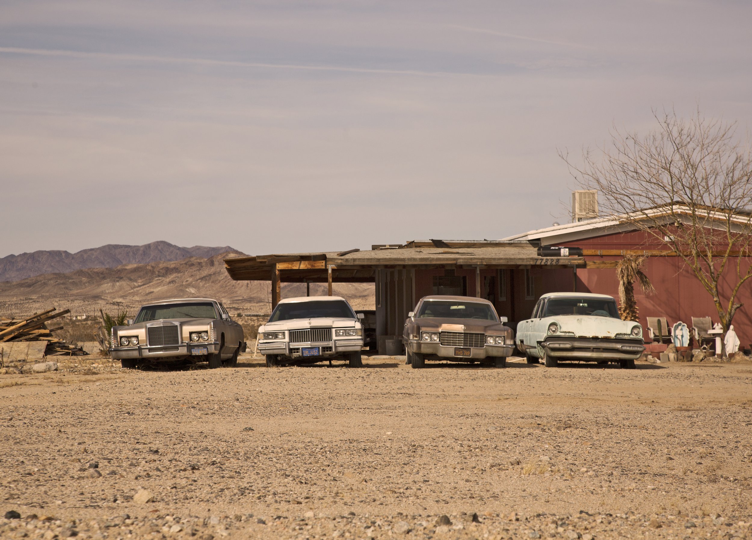 Cadillacs_HGY_62_EXPO.jpg
