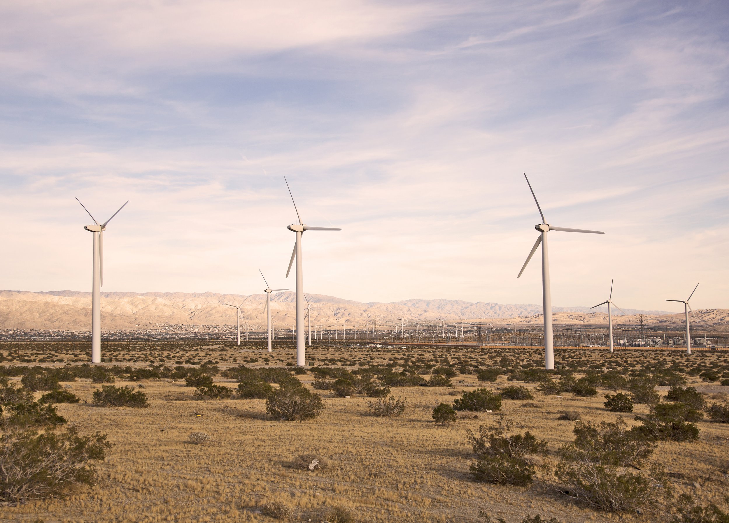 Desert_living_05_EXPO.jpg