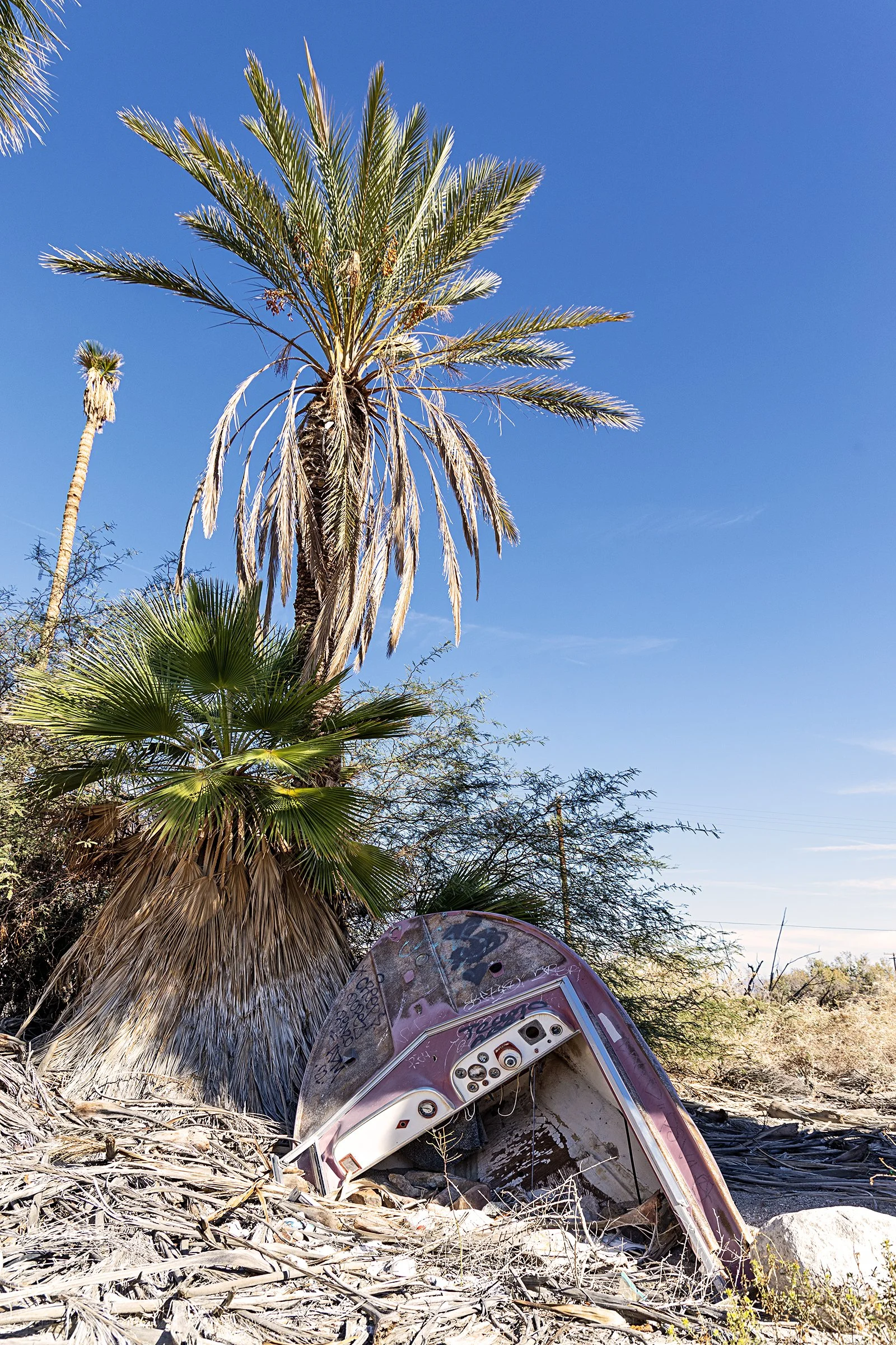 Desert_Shores_Boat_Tree_FB.jpg